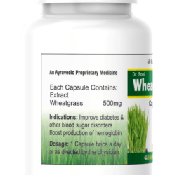 Wheatgrass